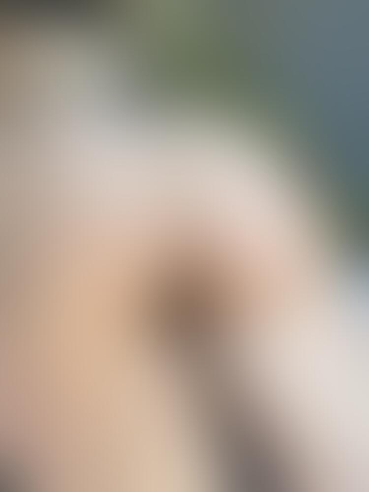 Naataalkaa