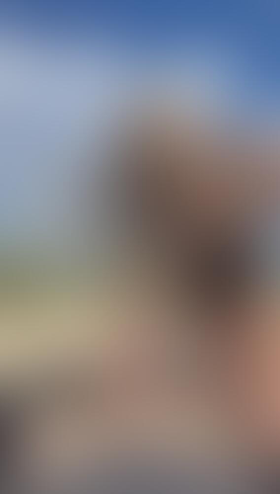 𝐕𝐄𝐍𝐎𝐌