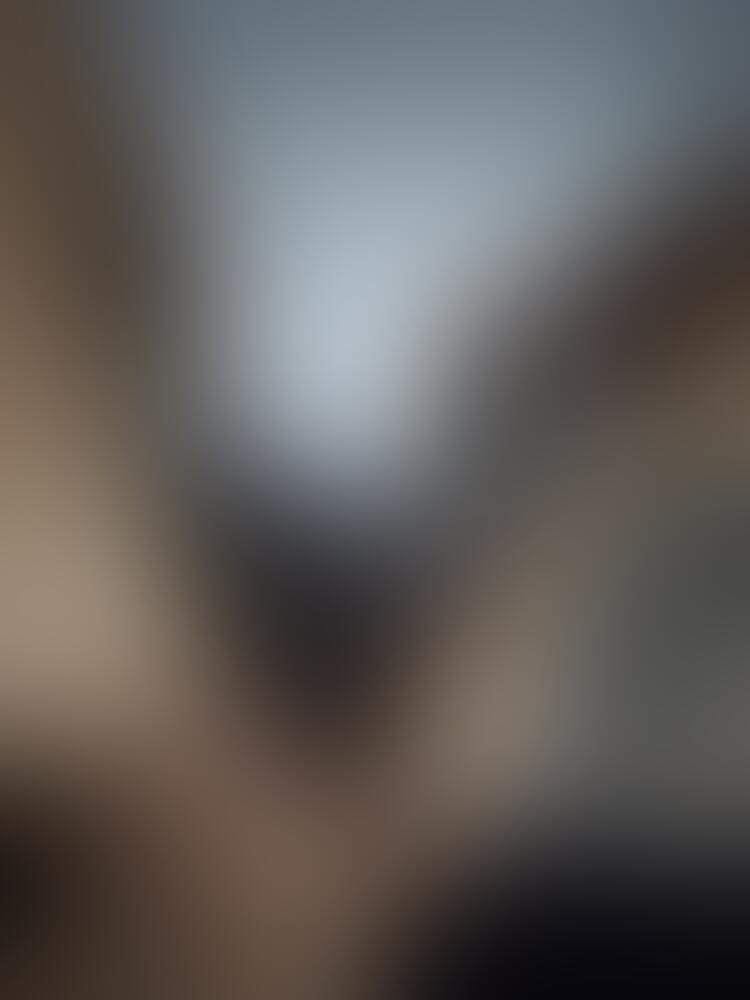 Hot milfa z dużym biustem