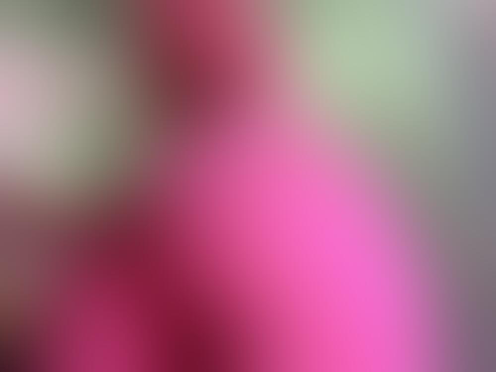 🍖 świeże mięso 🍑