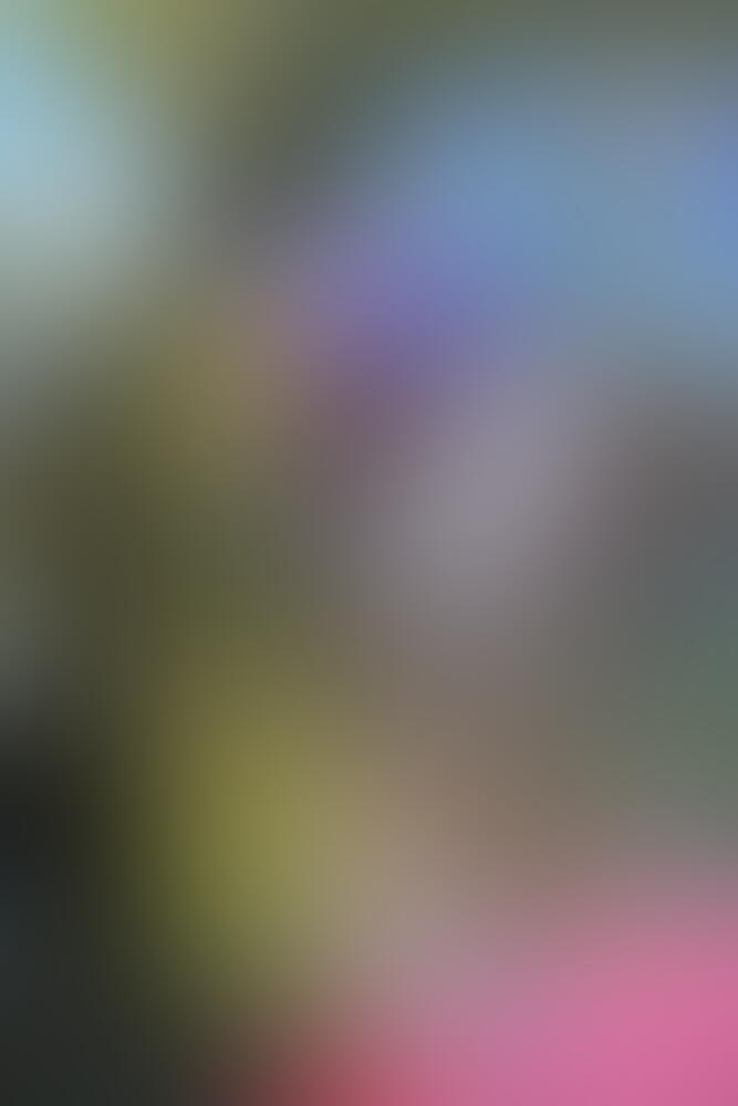 🍖 świeże mięso 🍑