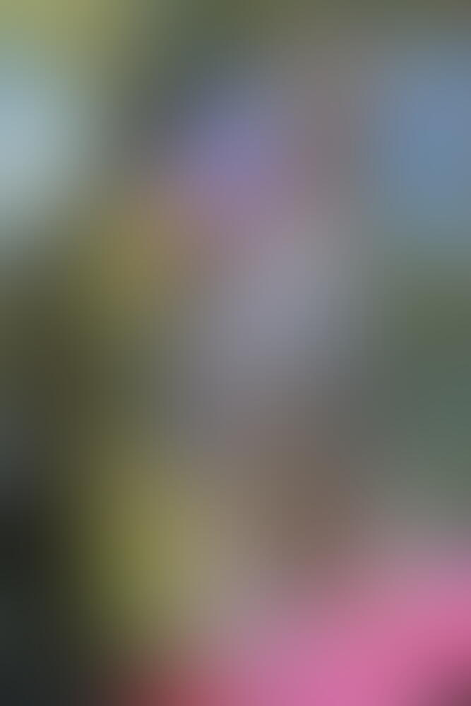 🍖 świeże mięso 🍑