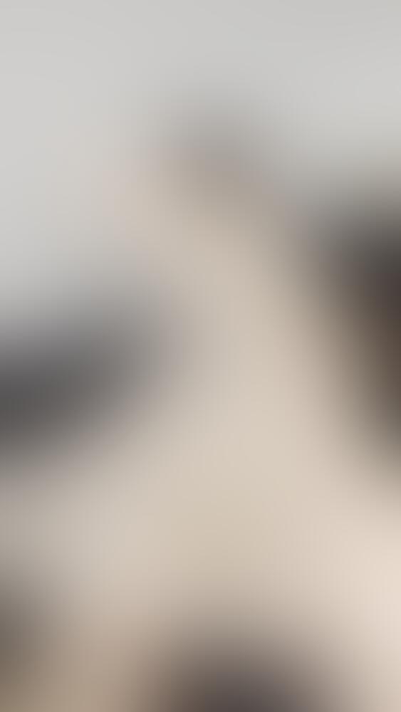 🍖 świeże mięso 🍑