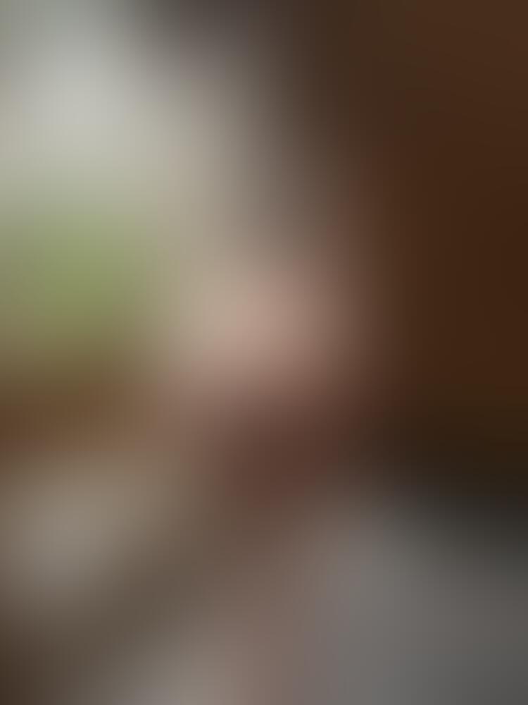 𝐕𝐄𝐍𝐎𝐌