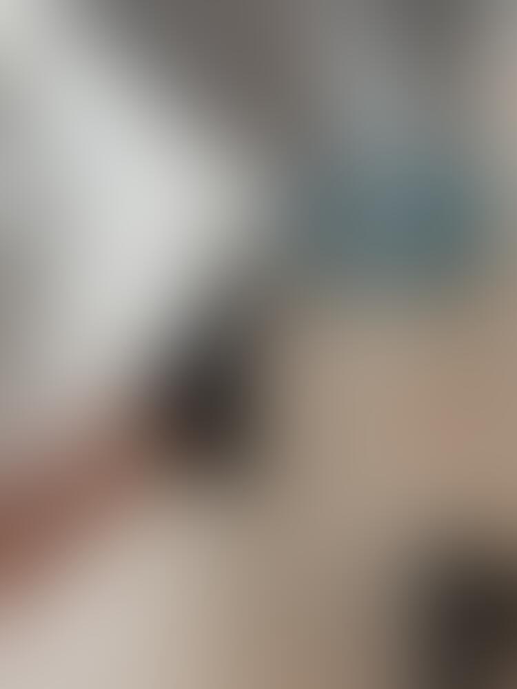 𝐕𝐄𝐍𝐎𝐌