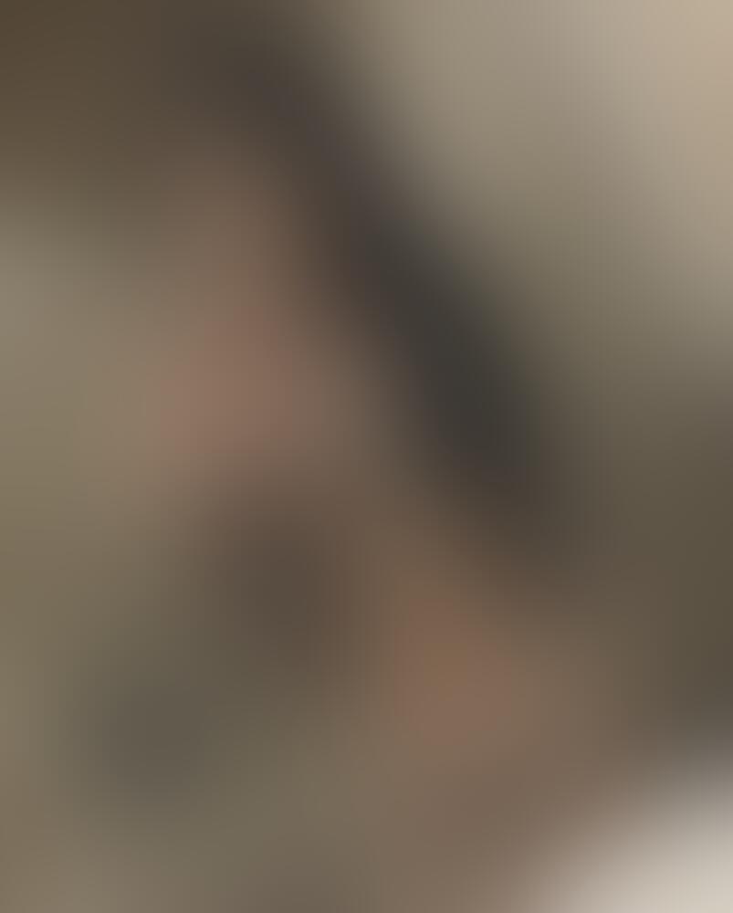 Nicollieav